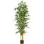 Bambou en soie-784335804