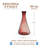 Segunda Vida Rosado Wine Decanter