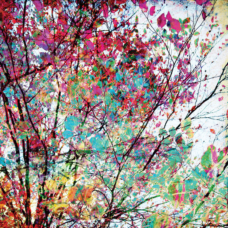 Reproduction d'art graphique sur toile «Autumn vii» par Joeike Bohmer, H 37 po x l 37 po x p 1,5 po