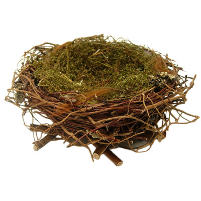 Erwann Handmade Decorative Bird House