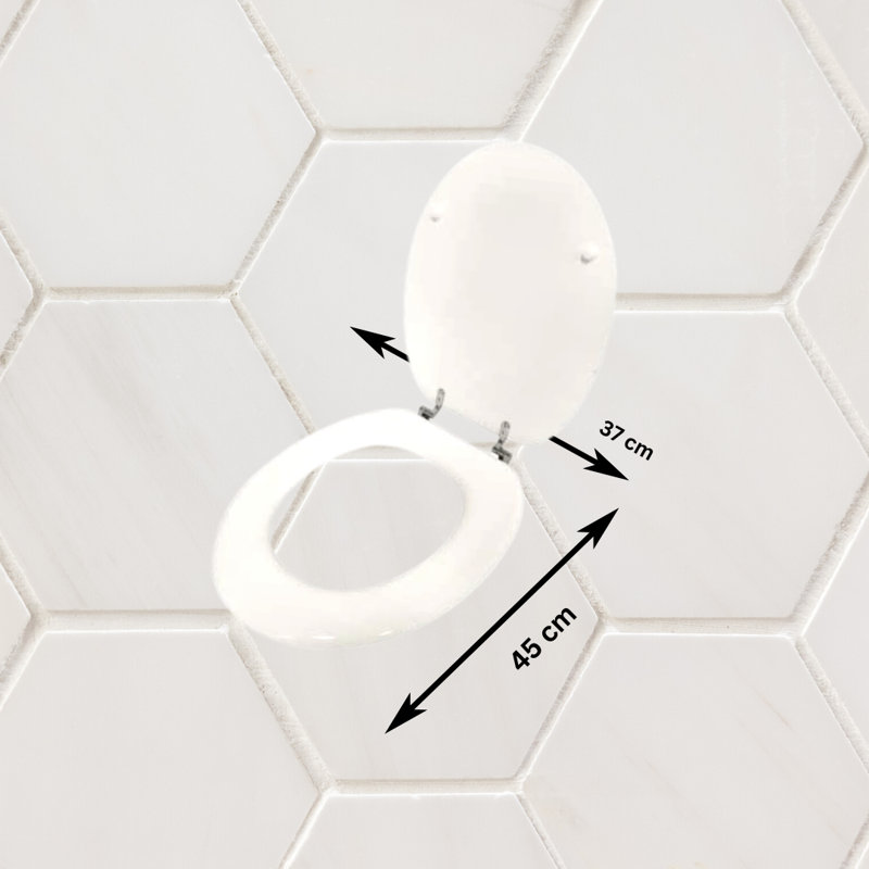 Actaeon Soft Close Elongated Standard Toilet Seat, White