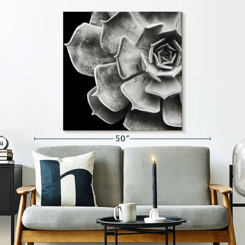 Echeveria, 33" H x 33" W