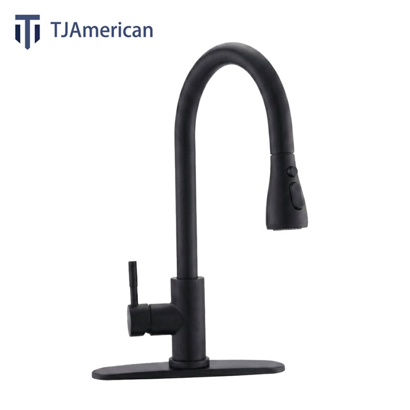 Robinet de cuisine à poignée simple avec douchette extractible TJAD3411, Noir mat