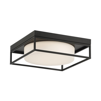 Rover LED Ceiling Mount