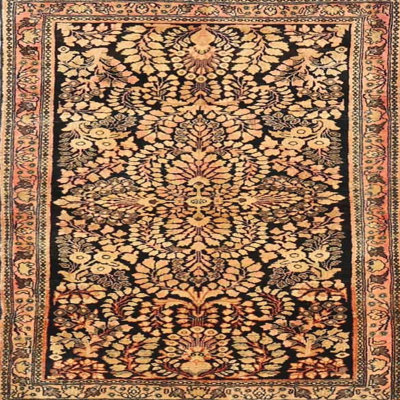 Oriental Indoor Rug