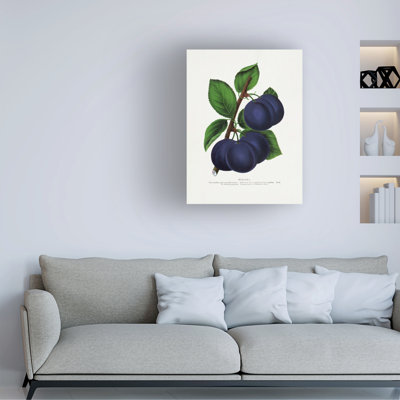 Reproduction d'art sur toile botanique