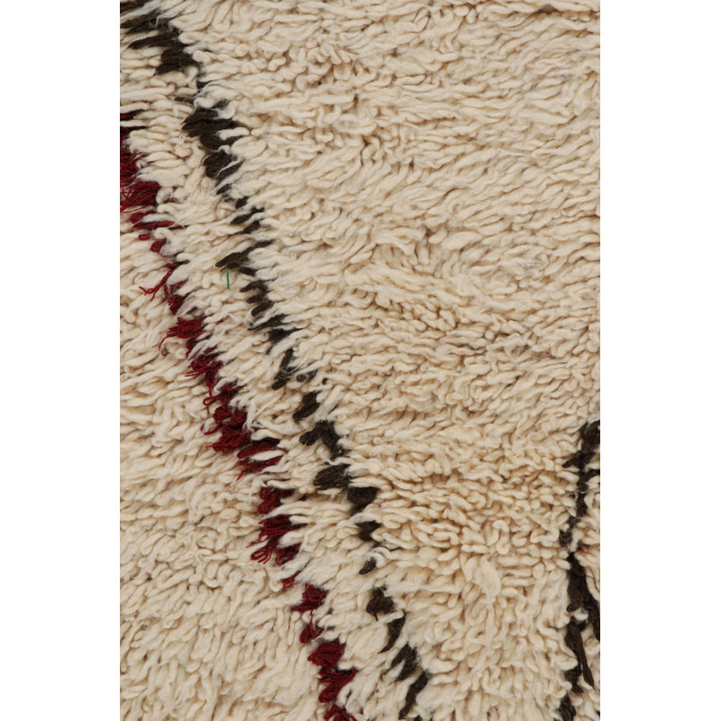 Hand Knotted Wool Area Rug