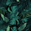 «Tropical Jungle Night 1», impression sur toile tendue