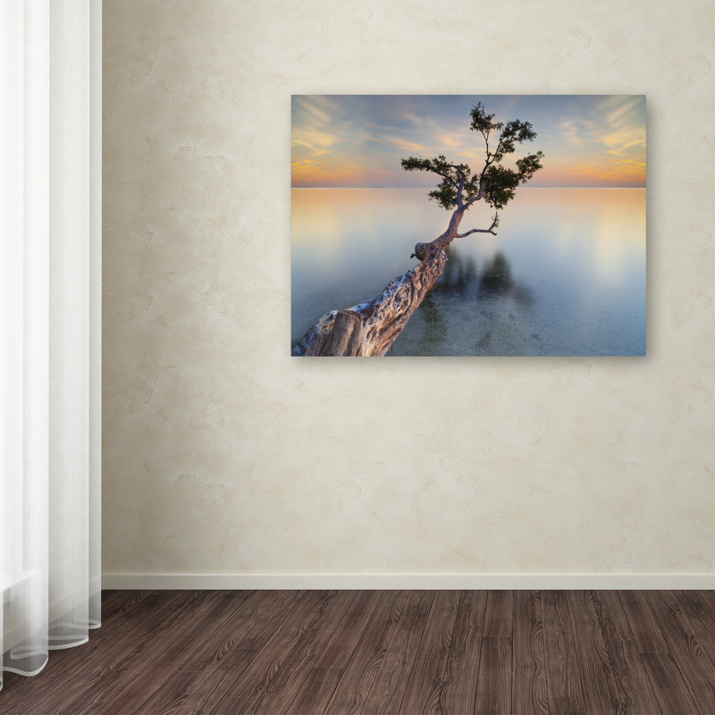 « water tree xiv » par moises perception, reproduction de photo sur toile tendue, H 16 po x l 24 po x P 2 po