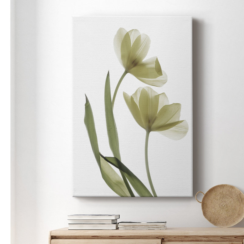 «Xray Tulip I», impression sur toile tendue, H 18 po x l 12 po x P 1 po