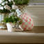 Mint Check Large Egg-1859930550-1859930545