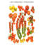 Variétés de tomates-20947314
