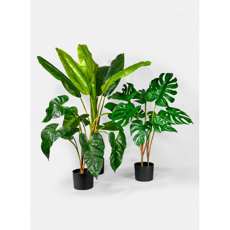 Anthurium artificiel en pot de chambre de bébé, H 27 po x l 18 po