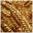 Light Gold Medium Bronze