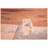 Arches National Park Wool Throw