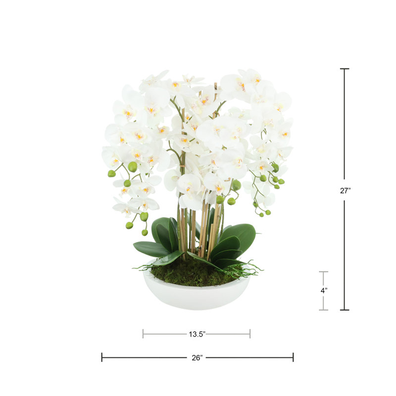 Orchid Arrangement in Round Fiberstone Pot, 27"H x 26"W x 26"D