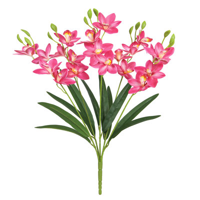 Tige d'orchidée