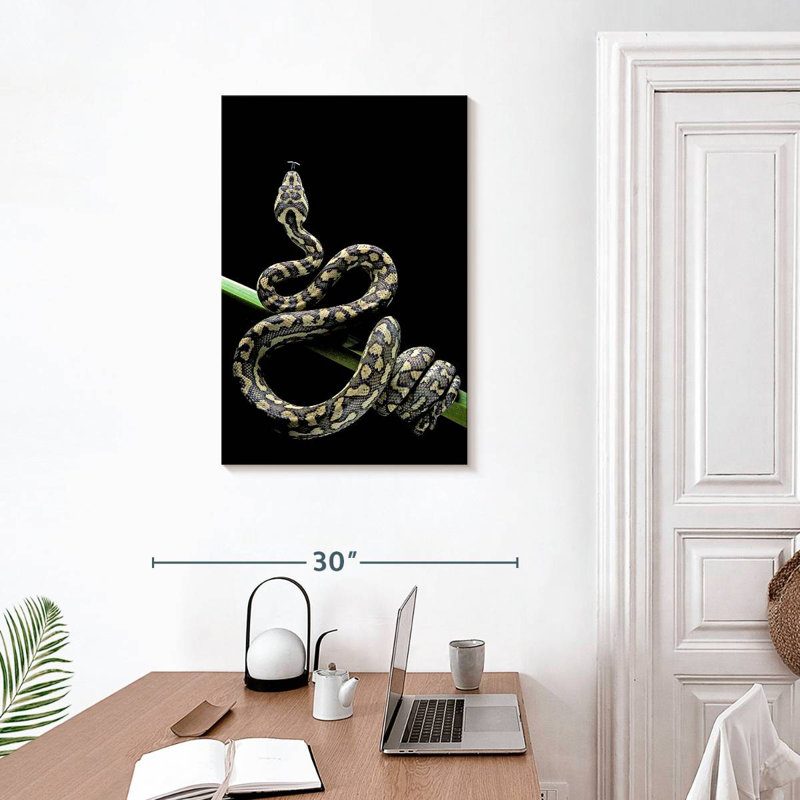 Poised Carpet Python, 30" H x 20" W