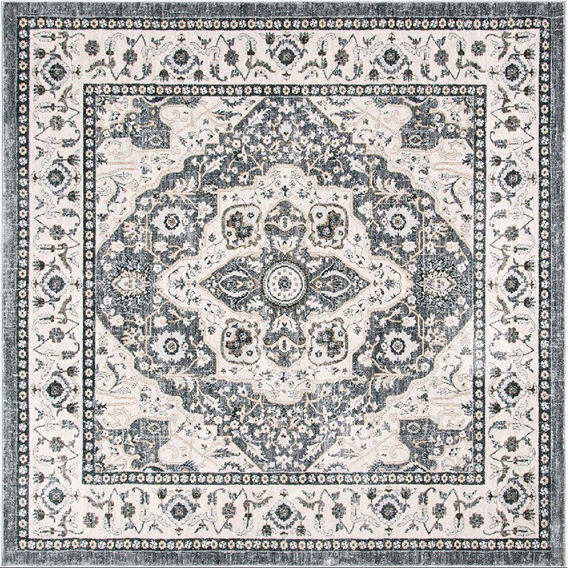 Aaysha Performance Oriental Rug, Square 8'