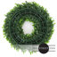 Couronne de verdure de porte d'entrée-63658162-128849662
