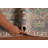 Distressed Wool Traditional Area Rug 7x10