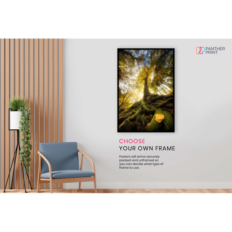 Panther Print Fine Art Prints - No Frame Print, 61cm H x 41cm W