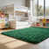 Shag Area Rugs for Living Room, Soft Fluffy Rugs for Bedroom, Nursery, Kids Room Home Decor, Dark Green