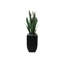 Faux Snake Plant (Sansevieria) Plant in Planter