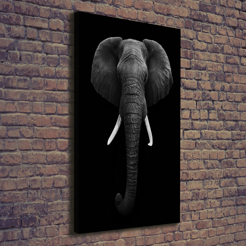 African Elephant - Wrapped Canvas Print