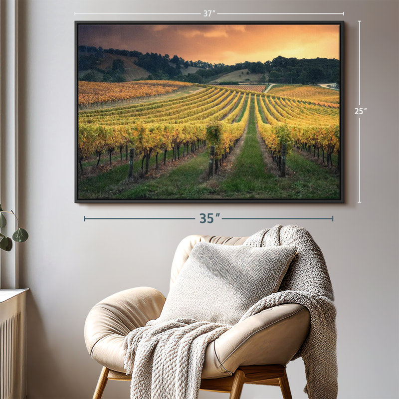 Impression sur toile Golden Golden Vineyard, H 25 po x l 37 po