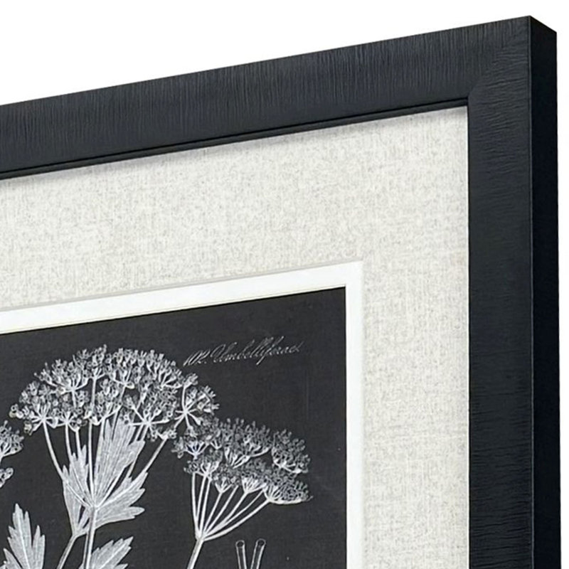 Mono Botanicals II S/2 Print by Libby Langdon Paragon
