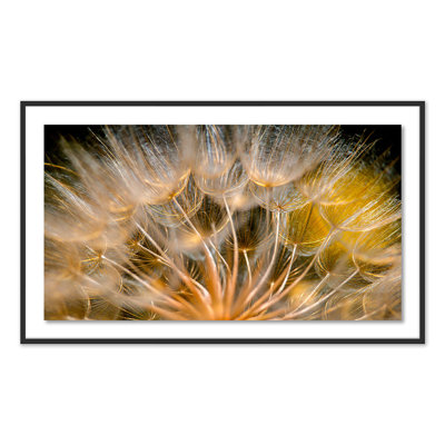 Float Away Print by Geoffrey Baris
