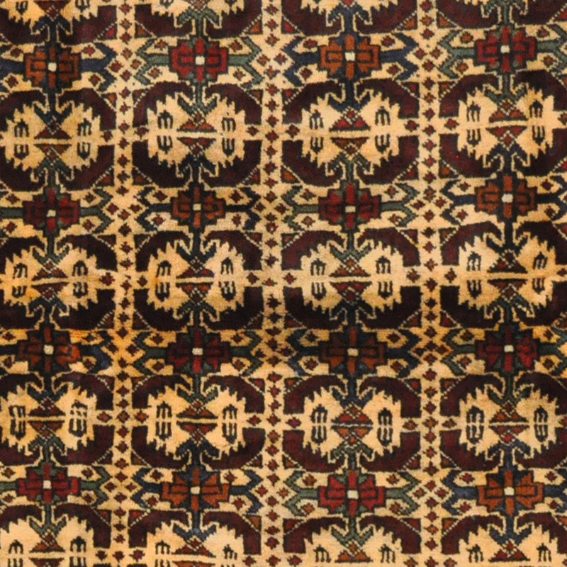 Tapis en laine noué à la main Bungalow Bungalow Balouchi