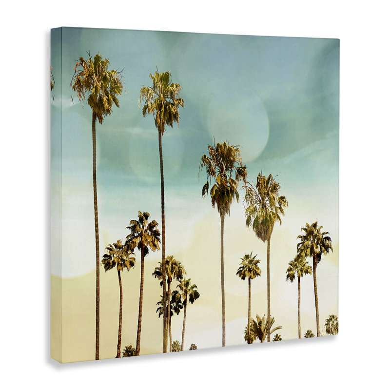 «Palm Tree Beach Sky» par Devon Davis, H 24 po x l 24 po