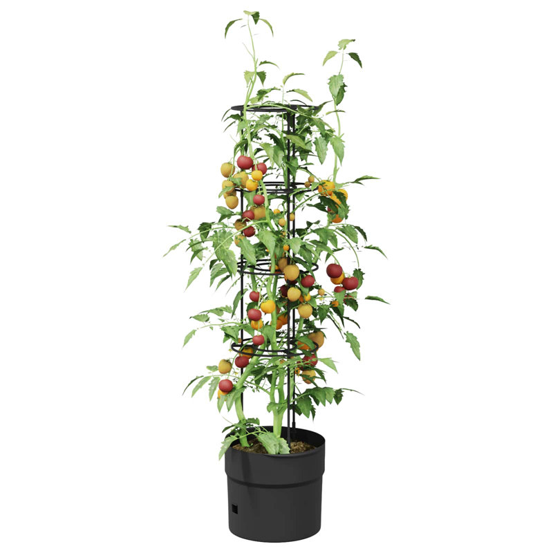 Pot Planter