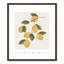 Amalfi Lemons - cadre photo, impression-66318804-66318814