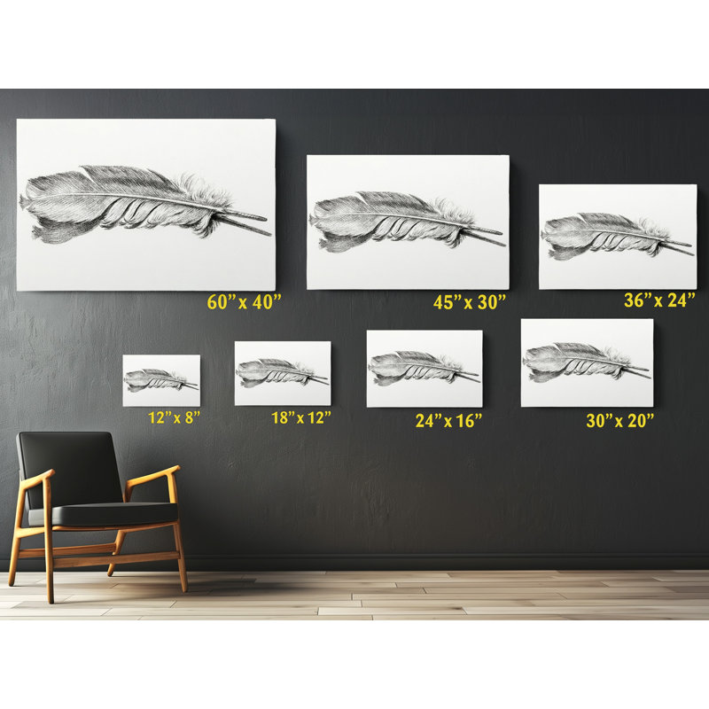 " Feather - Wrapped Canvas Print ", 30" H x 45" W x 1" D