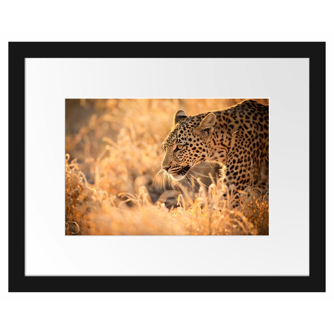 Gerahmtes Poster Jagender Leopard