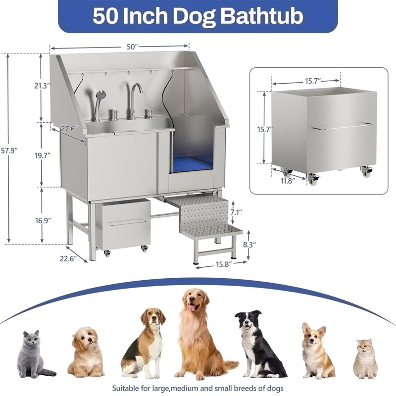 Station de lavage de chien