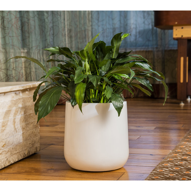Pot à fleurs Steuben, Blanc, H 12,75 po x l 12,75 po x 12,75 po