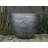 Colin Planter-159122927-159122912