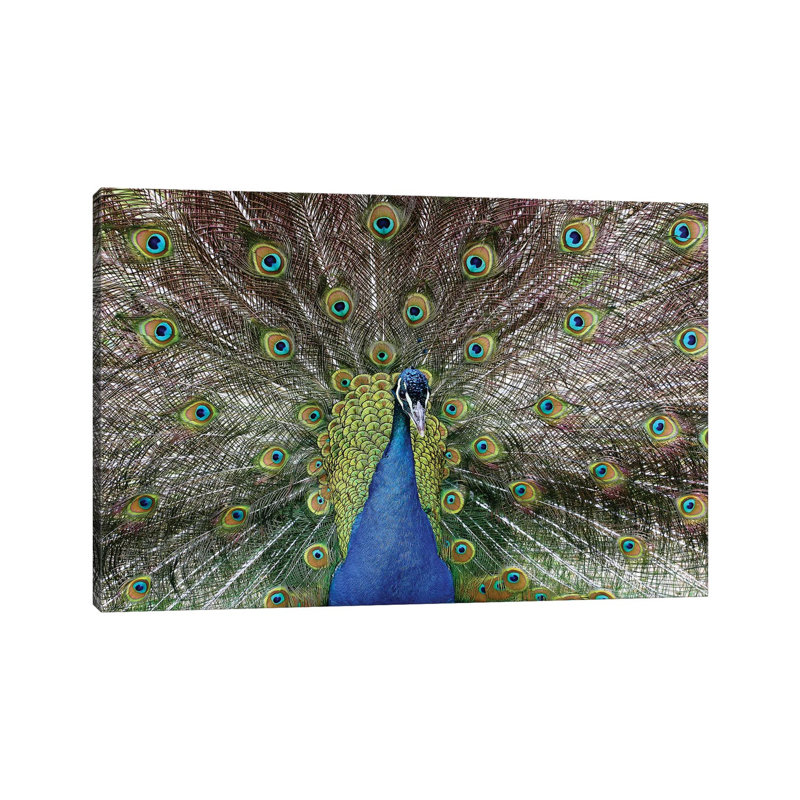 Beauty by Goran Anastasovski - Wrapped Canvas Print, 20.32 cm H x 30.48 cm W