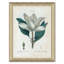 Magnolias Giclee Print by Paul Cezanne