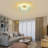 Momin 6-Light Sputnik Firework Flush Mount