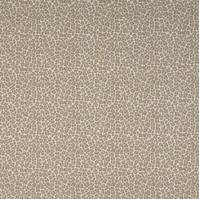 Mélange de coton Paish