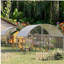 Grand poulailler en métal pour jardin, extérieur, canard, lapin 9,2 po x P 24,9 po x H 6,5 po