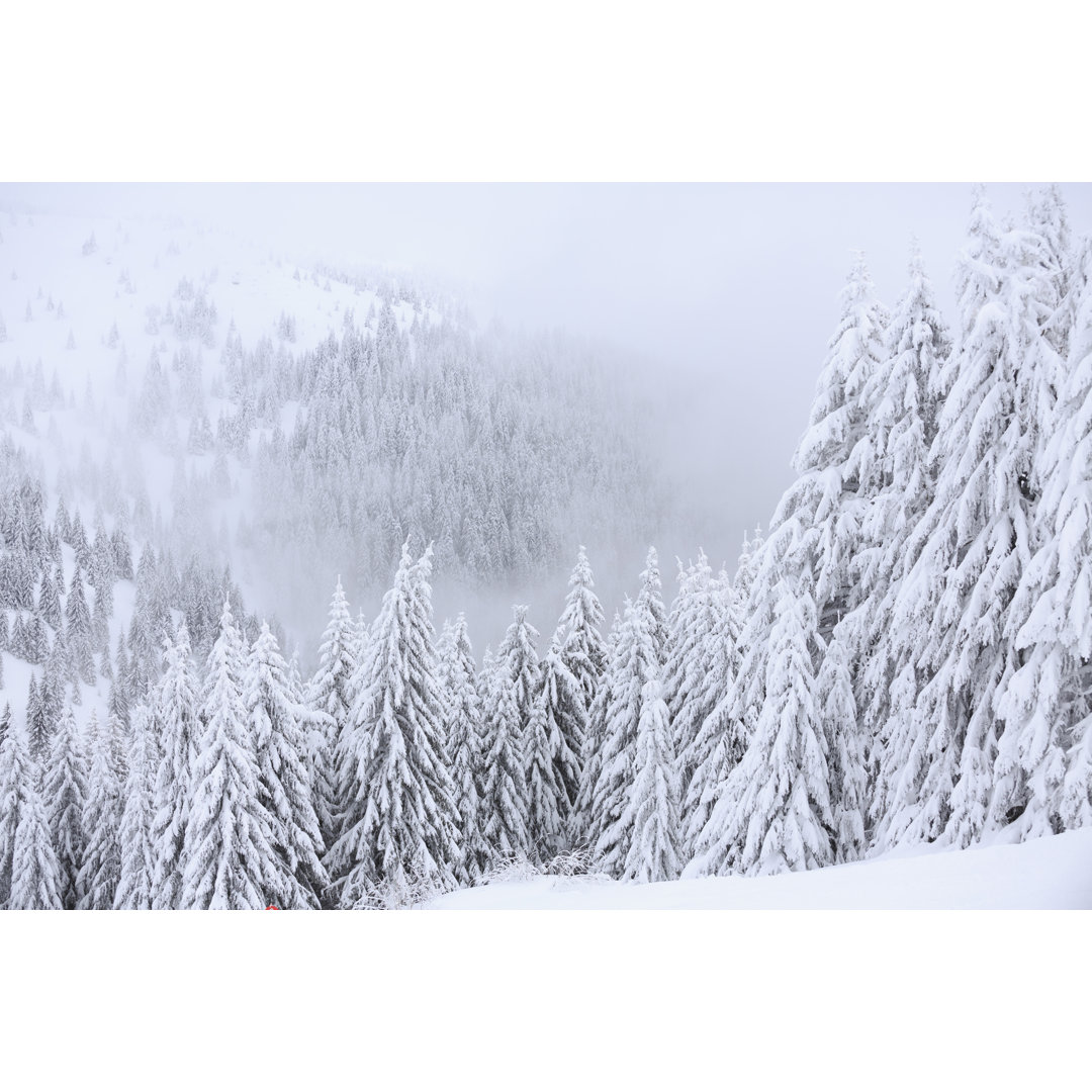 Frischer Schnee Winterlich von Ultramarinfoto - Leinwand Kunstdrucke