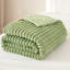 Striped Plush Lightweight Throw Blanket, Ultra Soft & Cozy for Sofa Couch Bed, Machine Washable-125310128-125310135