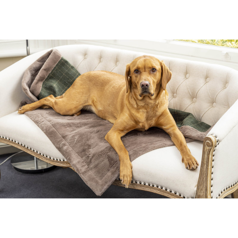 Plaid Pet Blanket