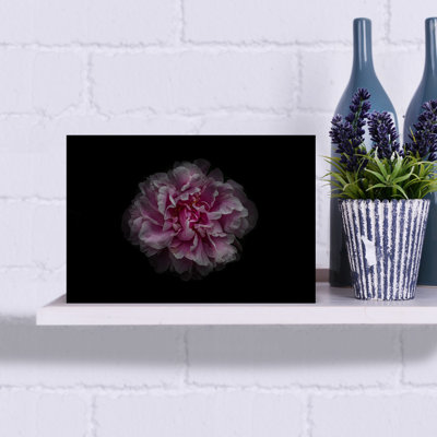 «Backyard Flowers No 117 Color Version Abstract Colorful Delicate Flower Nature», art mural
